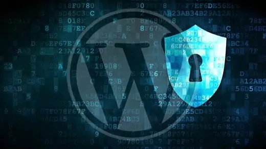 WordPress MU-Plugins